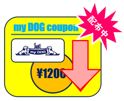 9980円以上ご購入の方…⁉