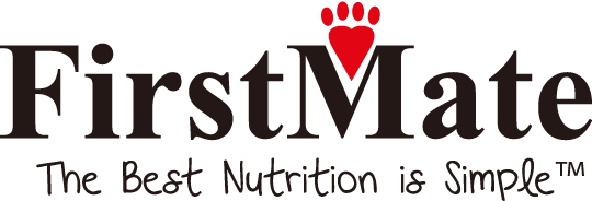 ファーストメイト