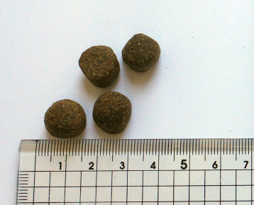 ブラックウッド　1000　980g