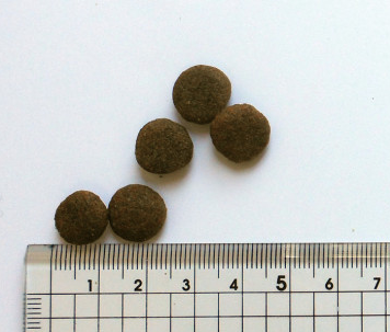 ブラックウッド　2000　2.7kg