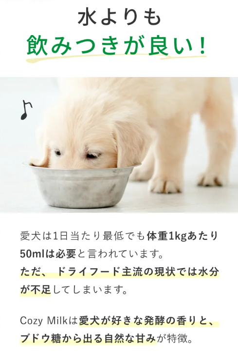 SILK FULL　シルクフル　コージーミルク / カラダシルク in　200g　5本