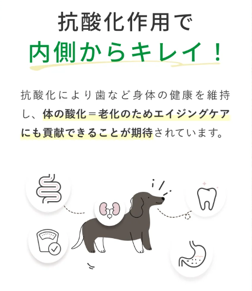 SILK FULL　シルクフル　コージーミルク / カラダシルク in　200g　5本