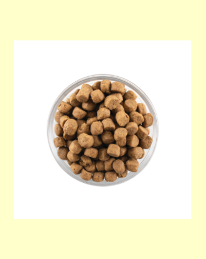 NOW FRESH (ナウフレッシュ)　グレインフリー　アダルト1.59kg   レギュラー粒