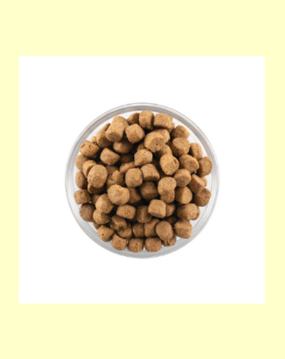 NOW FRESH (ナウフレッシュ)　グレインフリー　アダルト1.59kg   レギュラー粒