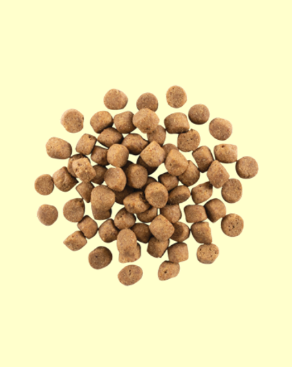 NOW FRESH (ナウフレッシュ)　グレインフリー　アダルト1.59kg   レギュラー粒