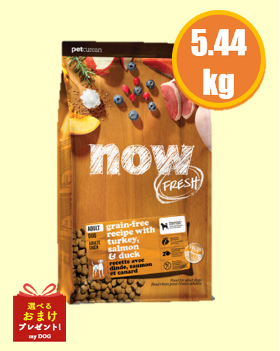 NOW FRESH (ナウフレッシュ)　グレインフリー　アダルト5.44kg   レギュラー粒
