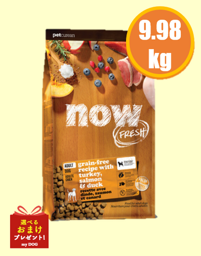 NOW FRESH (ナウフレッシュ)　グレインフリー　アダルト9.98kg   レギュラー粒