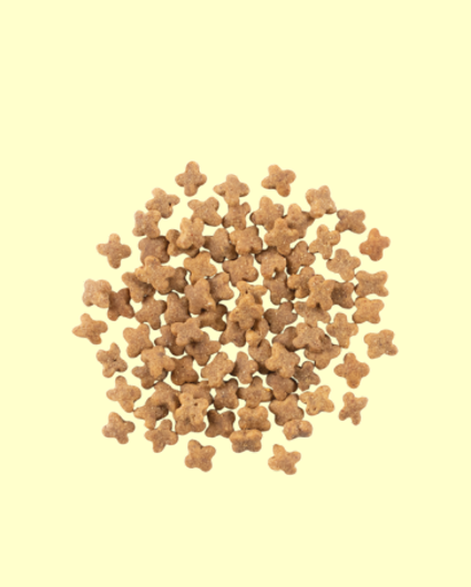 NOW FRESH (ナウフレッシュ)　グレインフリー　スモールブリードアダルト　9.98kg