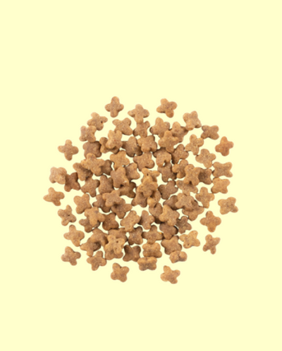 NOW FRESH (ナウフレッシュ)　グレインフリー　スモールブリードアダルト　800g