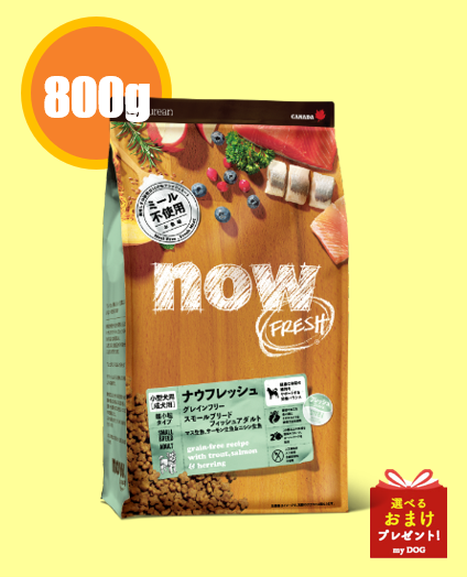 NOW FRESH (ナウフレッシュ)　グレインフリー　スモールブリードフィッシュアダルト 800g