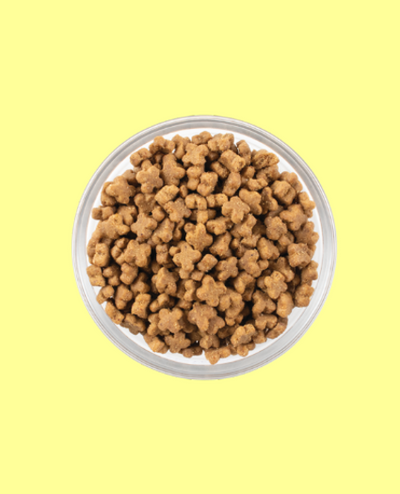 NOW FRESH (ナウフレッシュ)　グレインフリー　スモールブリードフィッシュアダルト 800g