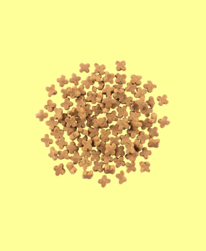 NOW FRESH (ナウフレッシュ)　グレインフリー　スモールブリードフィッシュアダルト2.3kg