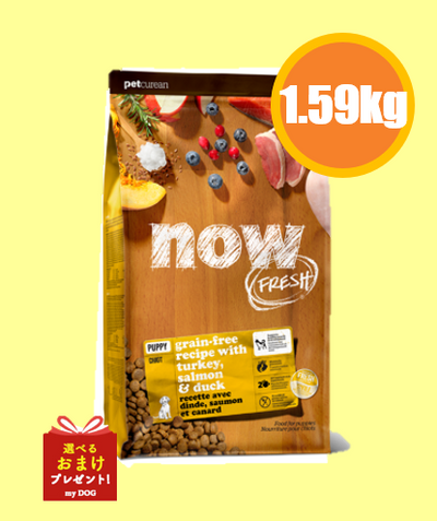 NOW FRESH (ナウフレッシュ)　グレインフリー　パピー1.59kg