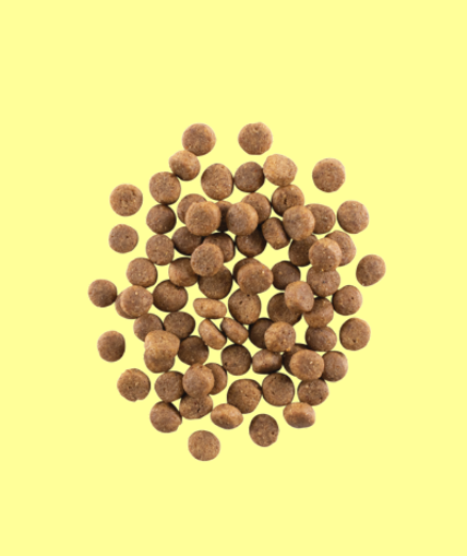 NOW FRESH (ナウフレッシュ)　グレインフリー　パピー 9.98kg