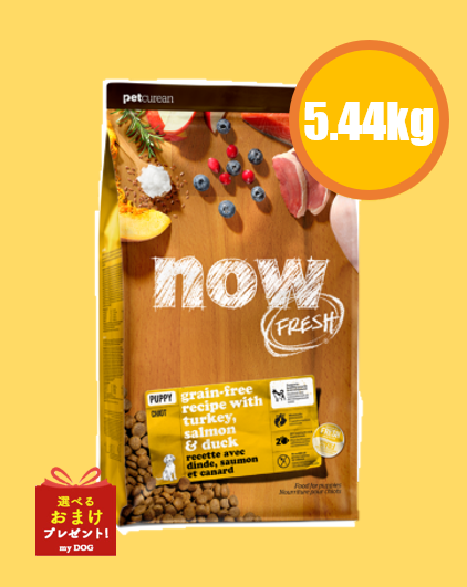 NOW FRESH (ナウフレッシュ)　グレインフリー　パピー 5.44kg