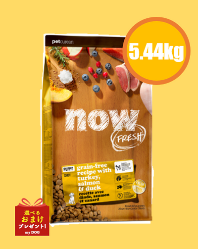 NOW FRESH (ナウフレッシュ)　グレインフリー　パピー 5.44kg