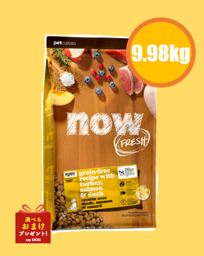 NOW FRESH (ナウフレッシュ)　グレインフリー　パピー 9.98kg