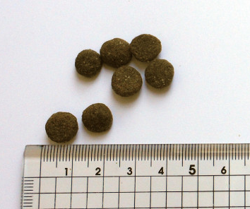 ブラックウッド　3000　7.05kg