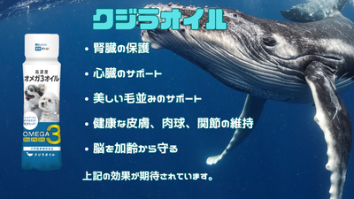 くじらオイル　オメガ3