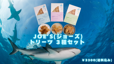 JOE'S トリーツ ３種セット(アオザメ・メジロザメ・ヨシキリザメ)