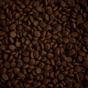 AATU　アートゥー　ダック　成猫用　1kg