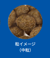 セレクトバランス　アダルト　チキン　中粒　7kg