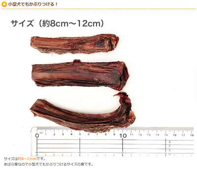 プライムケイズ　仔牛のあばらちゃん　55g