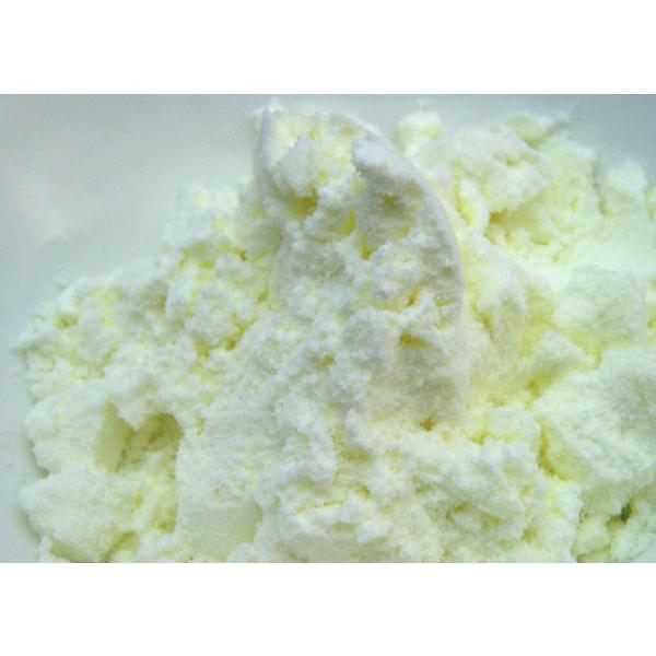 【正規品】　アーガイルディッシュ　シルキーゴートミルク　40g