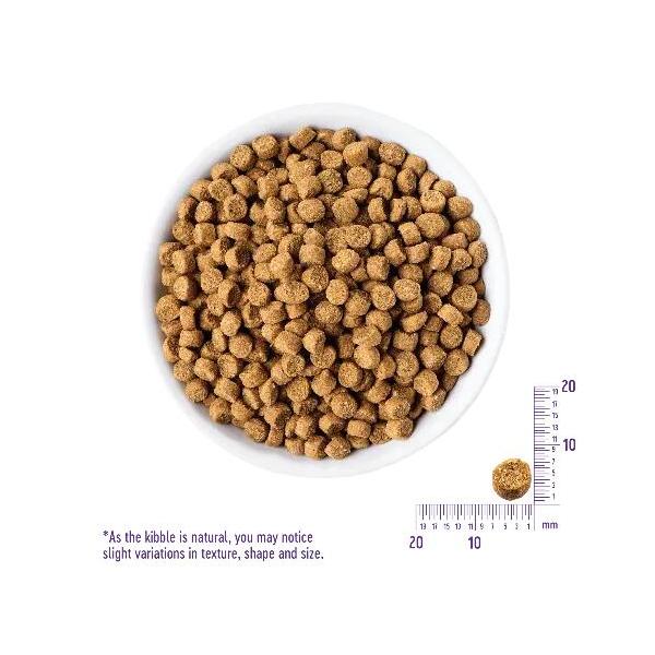 ウェルネス　ヘルシーバランス　室内猫　グレインフリー　骨抜きチキン　1.2kg　【お取り寄せ】