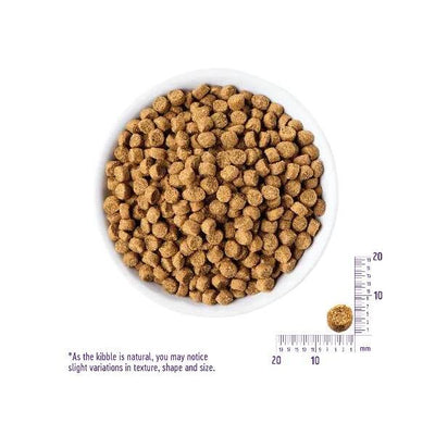 ウェルネス　ヘルシーバランス　室内猫　グレインフリー　骨抜きチキン　1.2kg　【お取り寄せ】