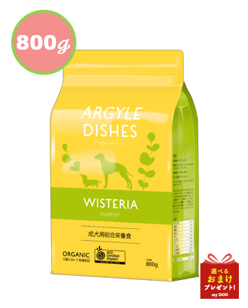 【正規品】　アーガイルディッシュ　ウィステリア　アダルト　800g