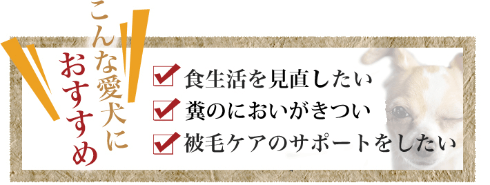 ビッグウッド　愛犬活力源　【お取り寄せ】