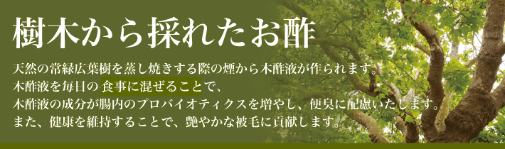 ビッグウッド　愛犬活力源　【お取り寄せ】