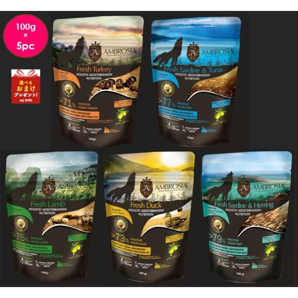 アンブロシア　お試し5種セット　100g×5pc　ターキー　ツナ　ラム　ダック　ニシン