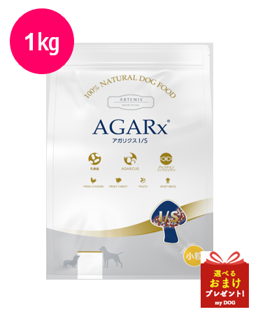 アーテミス　アガリクス　イミューンサポート　小粒　1kg