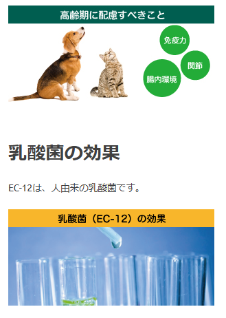 キアオラ　バリアサプリ　キャット　アダルトシニア　90g