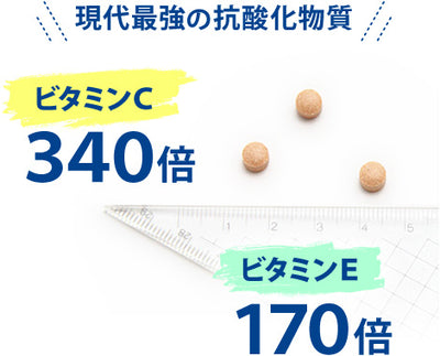 パンフェノン　3個セット