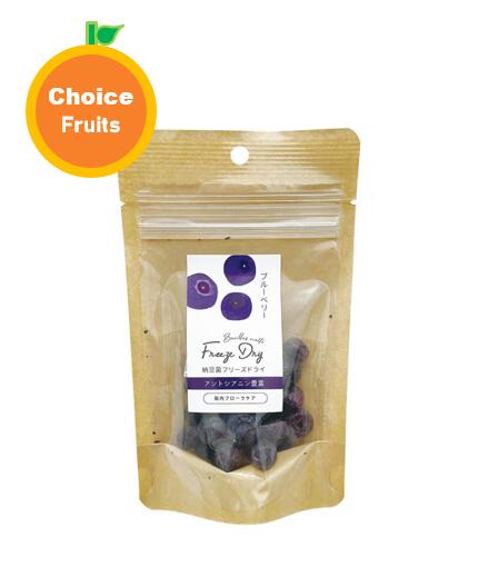 ドクターズチョイス　納豆菌　フリーズドライフルーツ　(いちご・マンゴー・ブルーベリー)