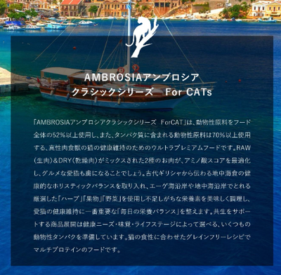 アンブロシア　キャット　トラウト＆ラビット　100g