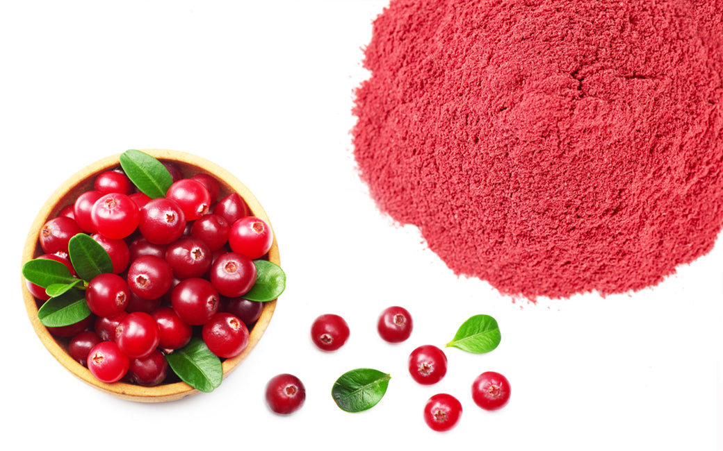 みちのくファーム　クランベリーパウダー　50g　