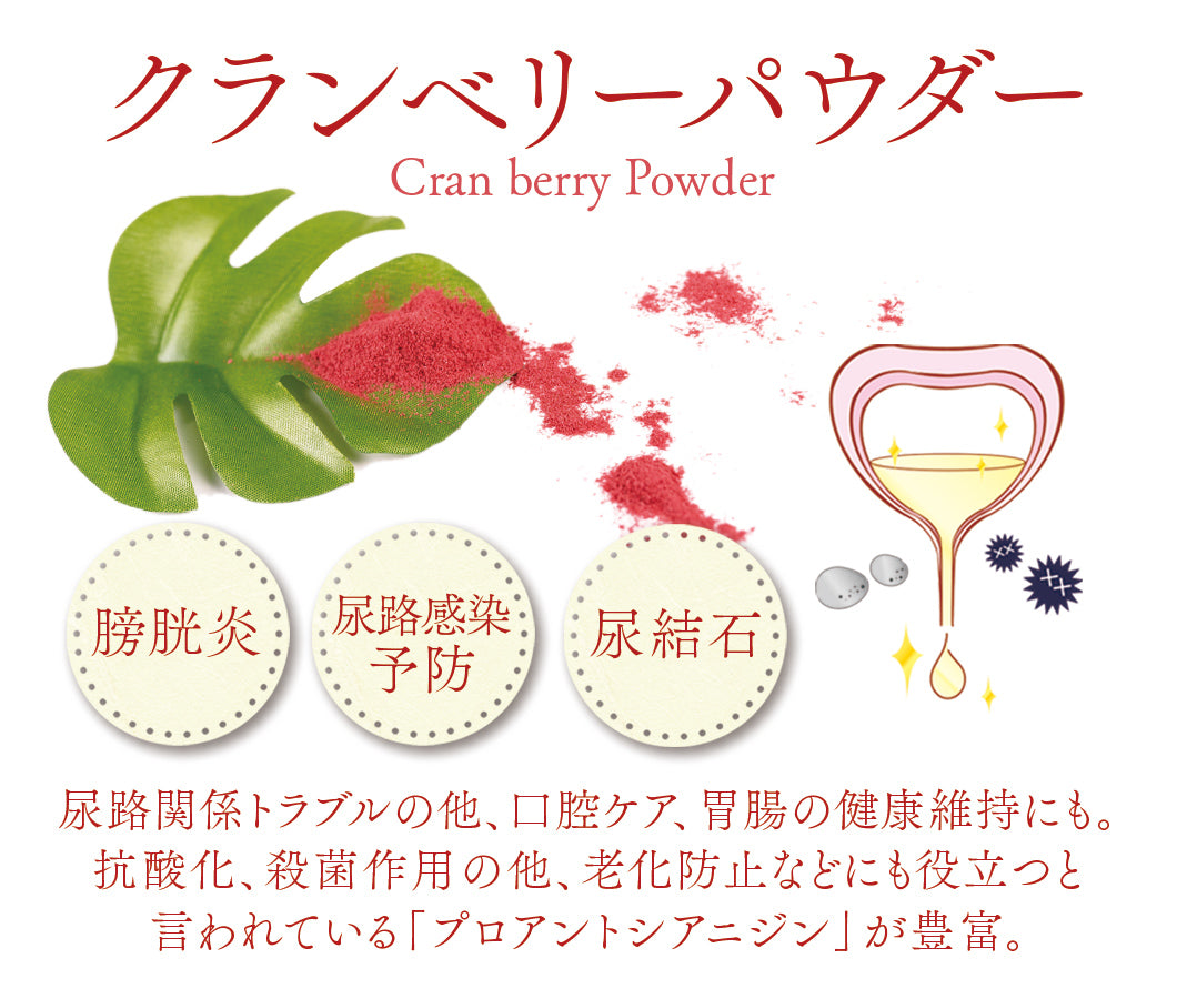 みちのくファーム　クランベリーパウダー　50g　