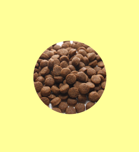 【正規品】　クプレラ　べニソン＆スウィートポテト　パピー　900g