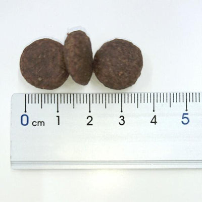 エンパイア　アダルトデイリー25+　12kg