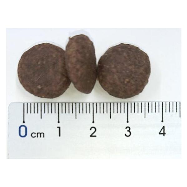 エンパイア　パピーグロス25+　12kg