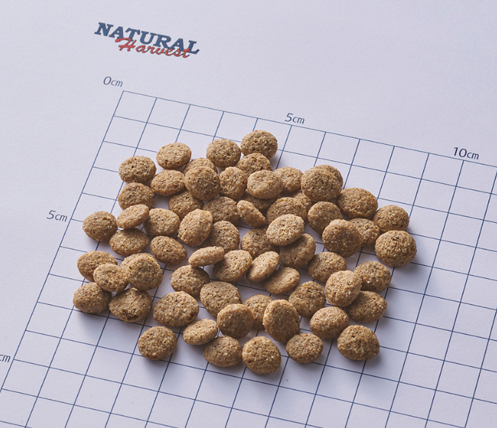 ナチュラルハーベスト　メンテナンススモール　フィッシュ　6kg