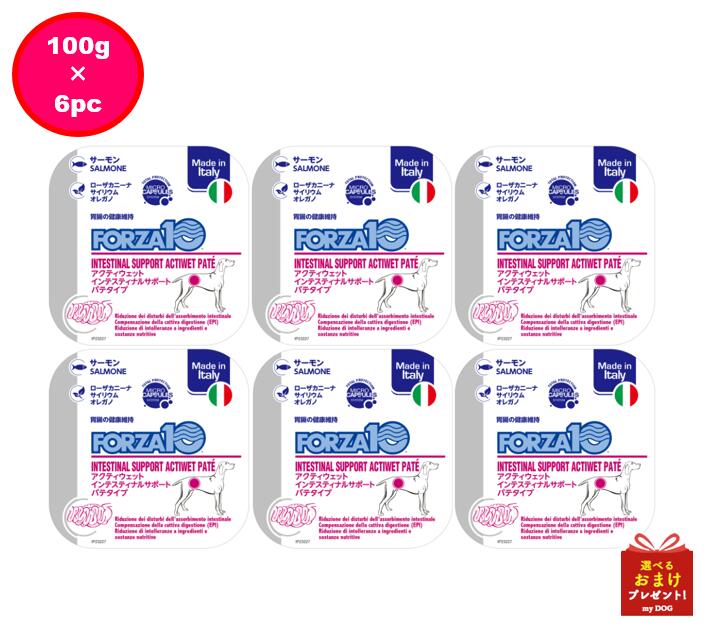フォルツァ10　犬用　インテスティナル　アクティウェット　100g　6個セット