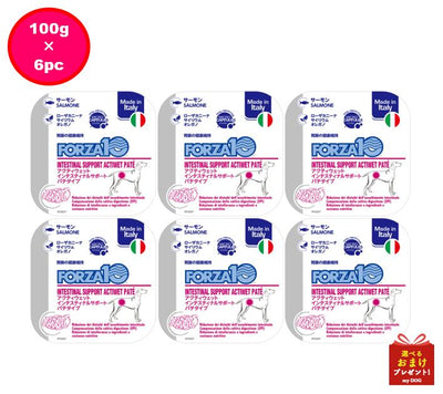 フォルツァ10　犬用　インテスティナル　アクティウェット　100g　6個セット