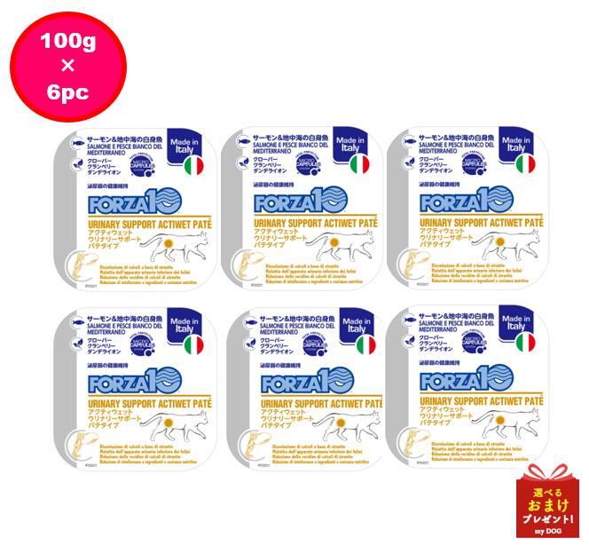 フォルツァ10　猫用　ウリナリー　アクティウェット　100g　6個セット
