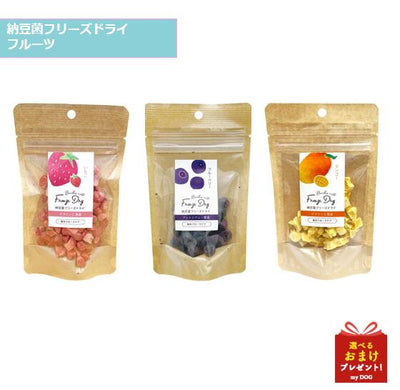 ドクターズチョイス　納豆菌　フリーズドライフルーツ　(いちご・マンゴー・ブルーベリー)