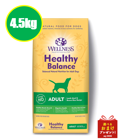 ウェルネス　ヘルシーバランス　成犬用ラム　4.5kg　【お取り寄せ】